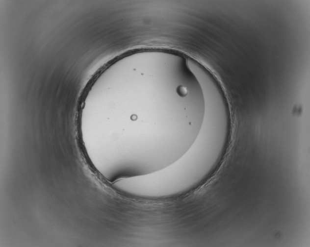 X0000114441085200911131510