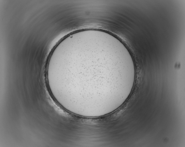 X0000114441086200911131510