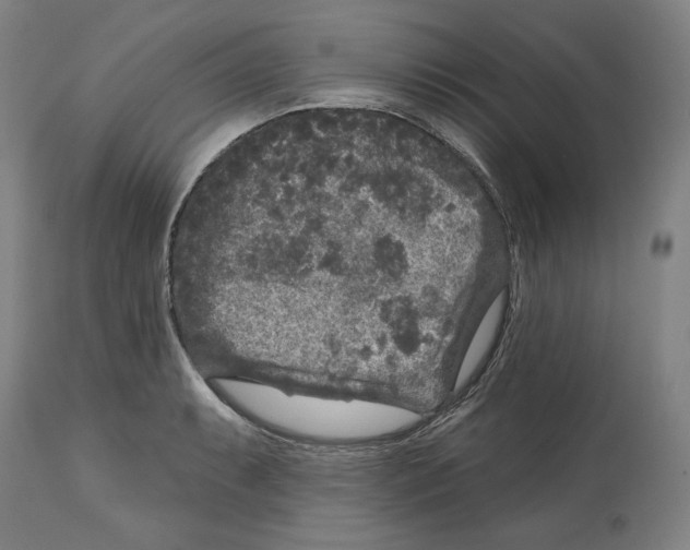 X0000114441087200911131510