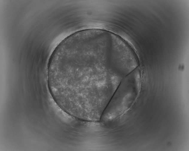 X0000114441088200911131510