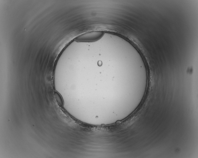 X0000114441089200911131510