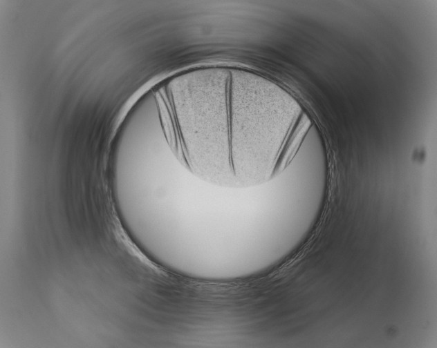 X0000114441092200911131510