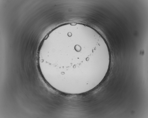 X0000114441093200911131510