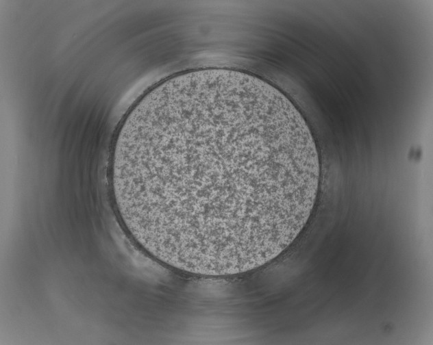 X0000114441094200911131510