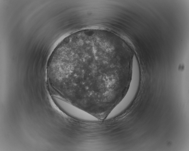 X0000114441095200911131510