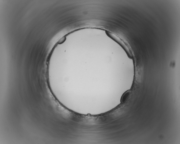 X0000114441096200911131510