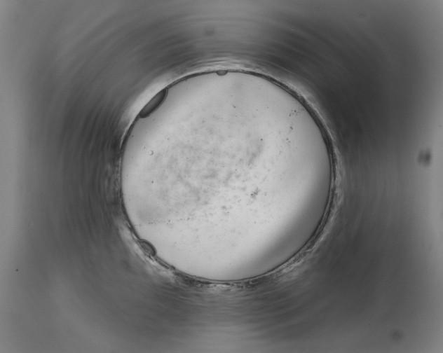 X0000114441097200911131510