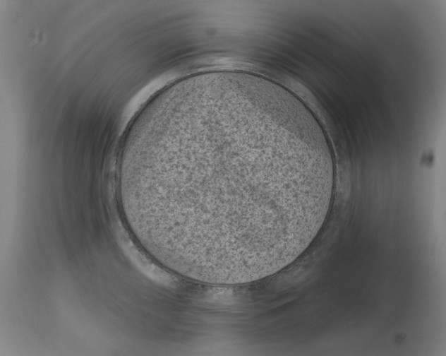 X0000114441098200911131510