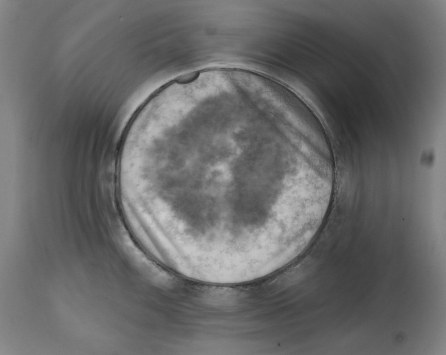 X0000114441100200911131510