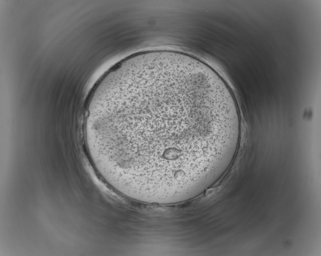 X0000114441101200911131510