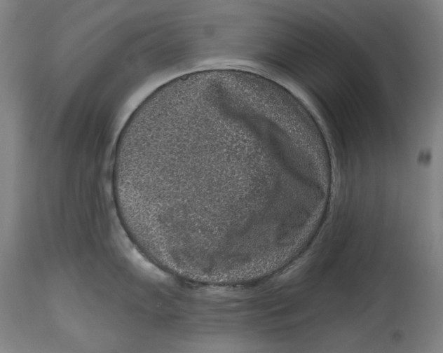 X0000114441102200911131510