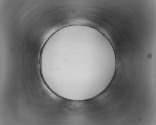 X0000114441103200911131510