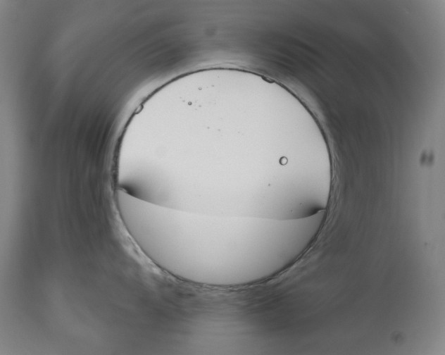 X0000114441104200911131510