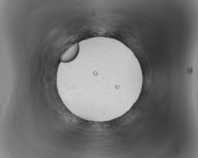 X0000114441105200911131509