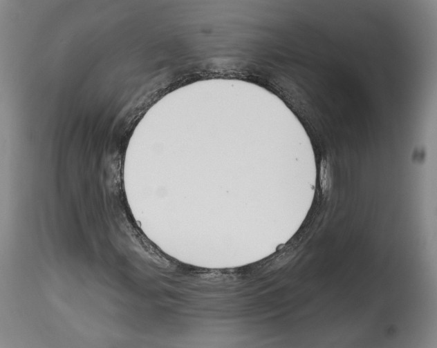 X0000114441107200911131509