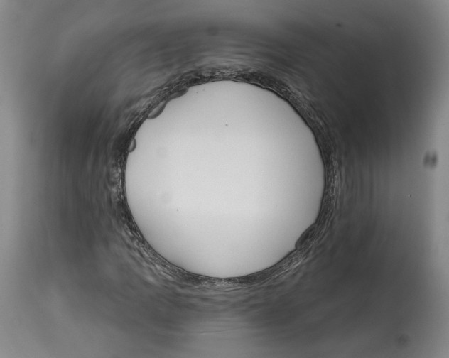 X0000114441109200911131509