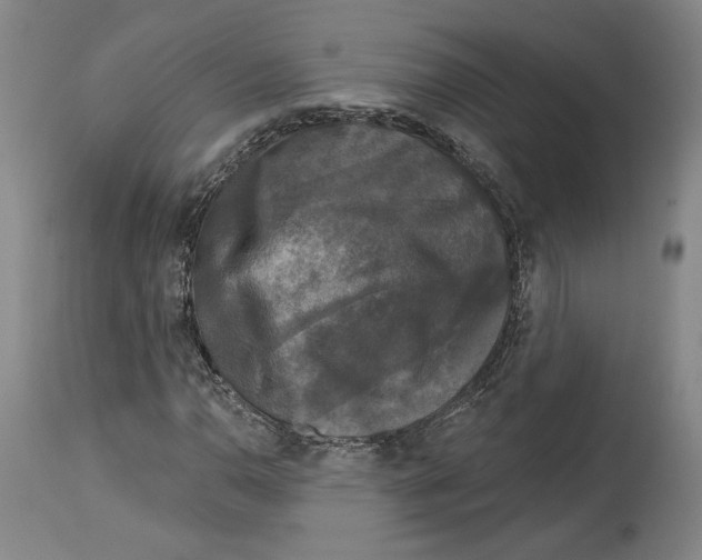 X0000114441110200911131509