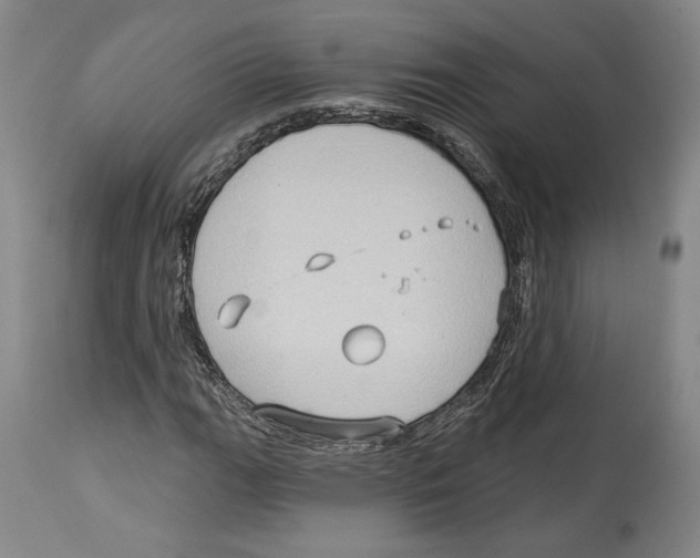 X0000114441111200911131509