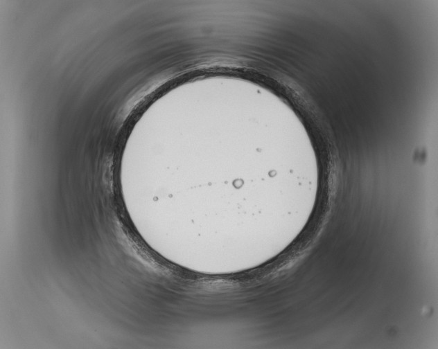 X0000114441113200911131509