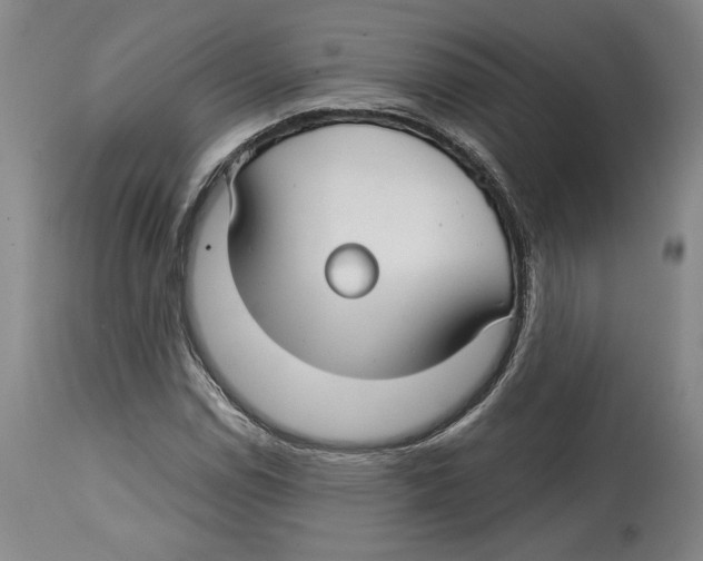 X0000114441114200911131509