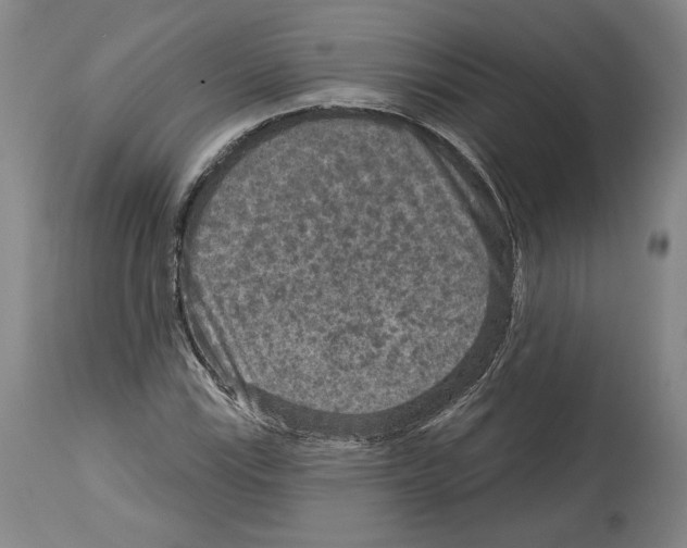 X0000114441115200911131509