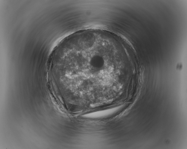 X0000114441117200911131509