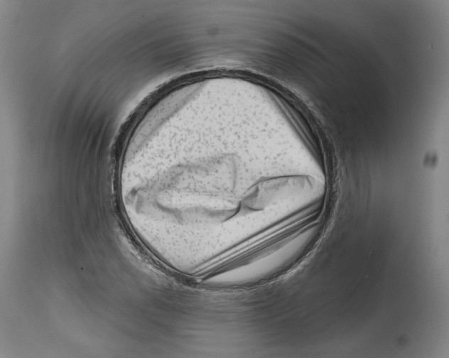 X0000114441118200911131509