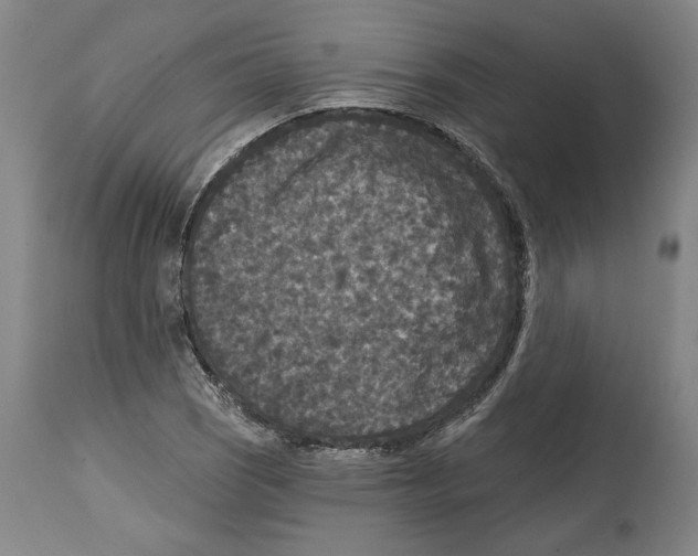 X0000114441121200911131509