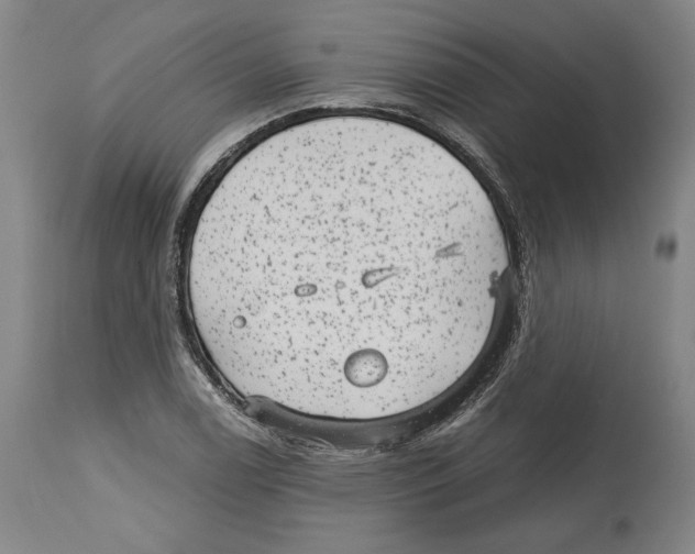 X0000114441122200911131509