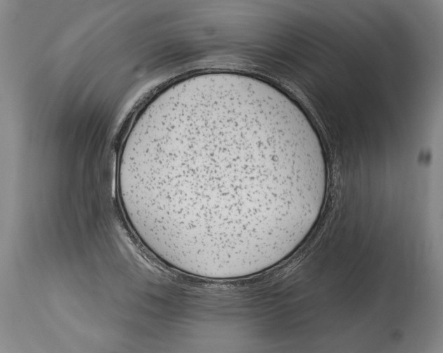 X0000114441123200911131509