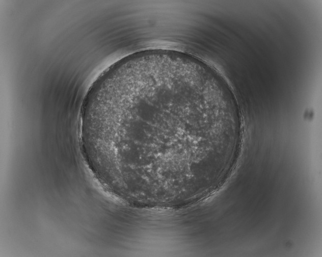 X0000114441125200911131509