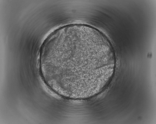 X0000114441126200911131509