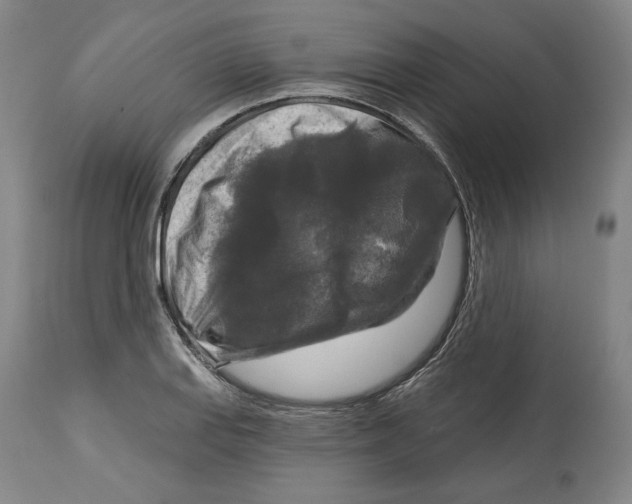 X0000114441127200911131509