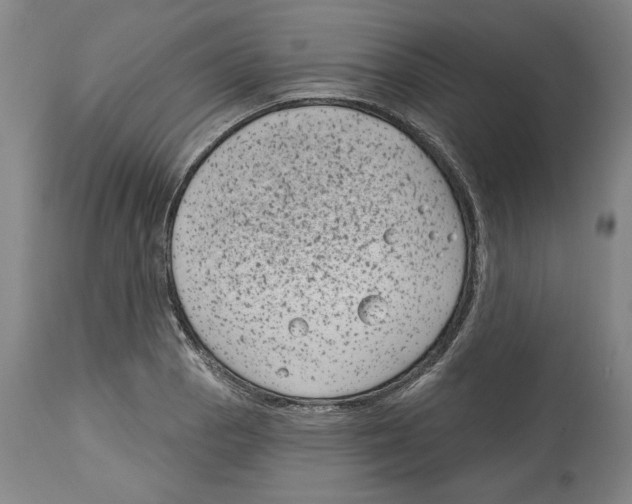 X0000114441129200911131510