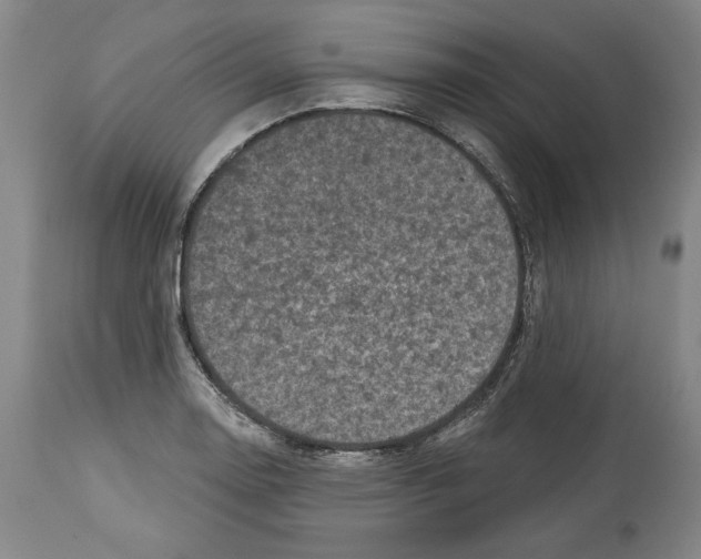 X0000114441130200911131510