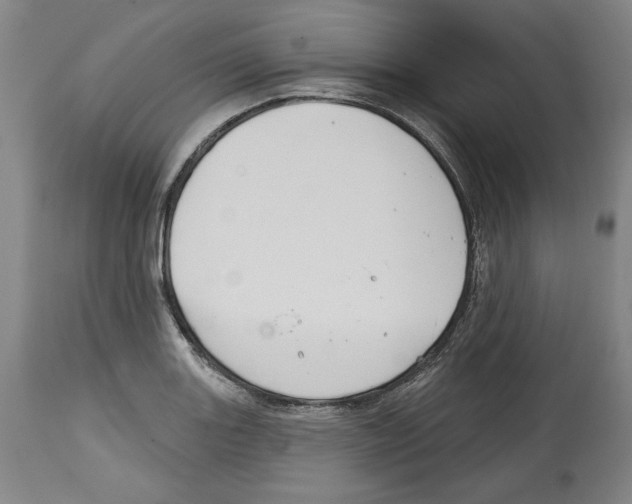 X0000114441131200911131510