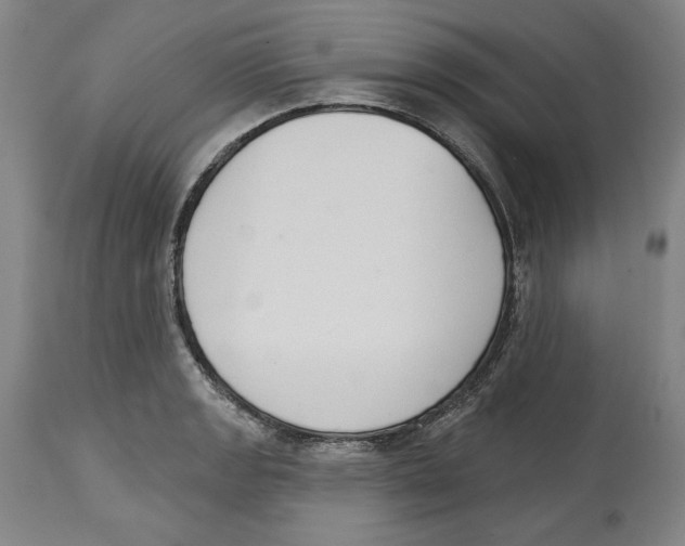 X0000114441133200911131510