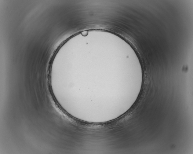 X0000114441135200911131510