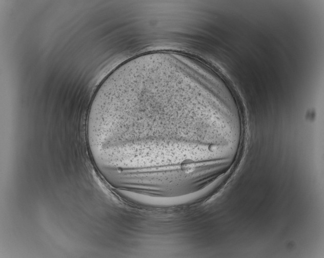 X0000114441137200911131510