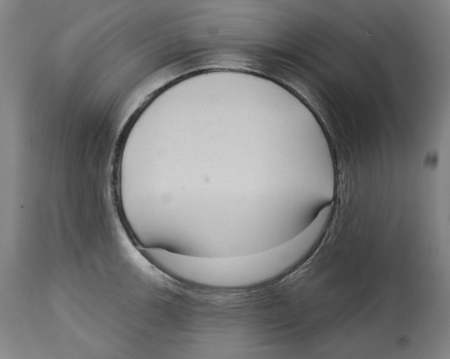 X0000114441139200911131510