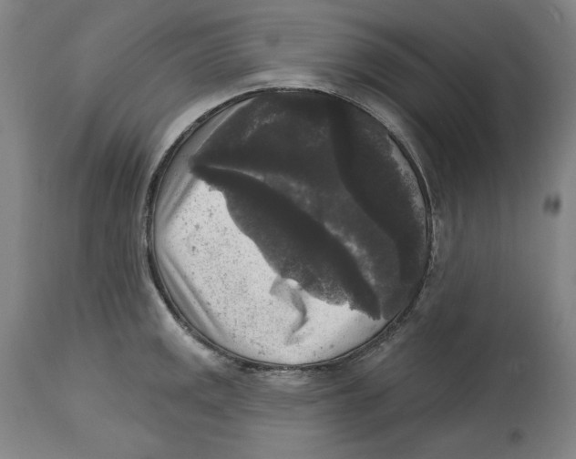 X0000114441141200911131510