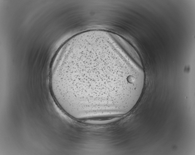 X0000114441143200911131510