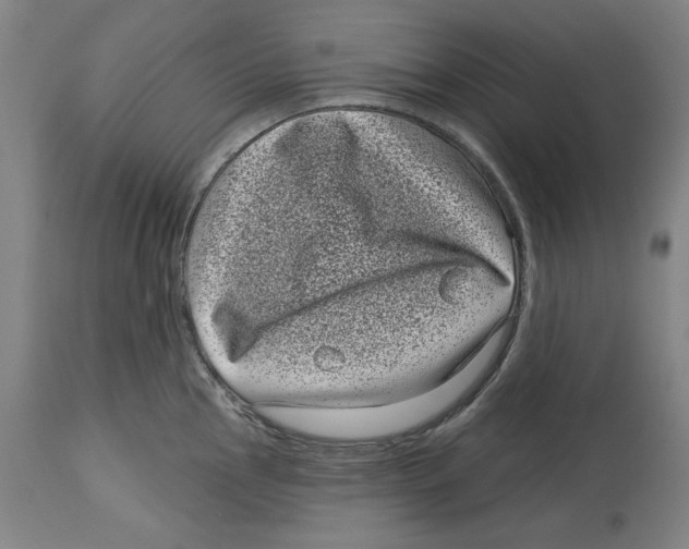 X0000114441145200911131510