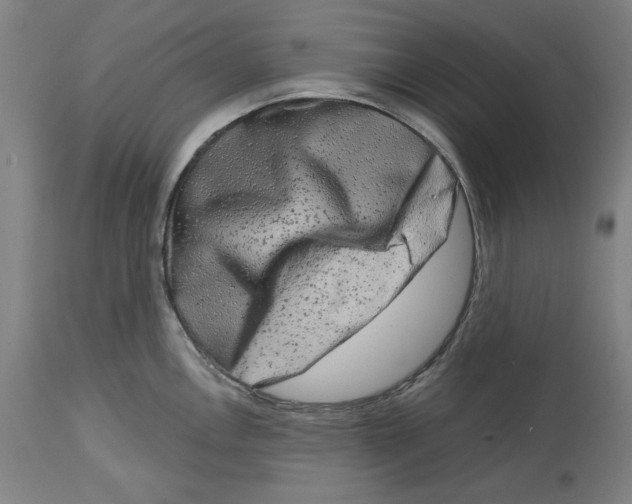 X0000114441146200911131510