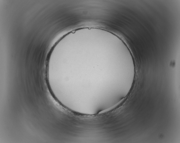 X0000114441147200911131510