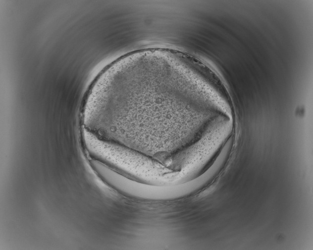 X0000114441149200911131510