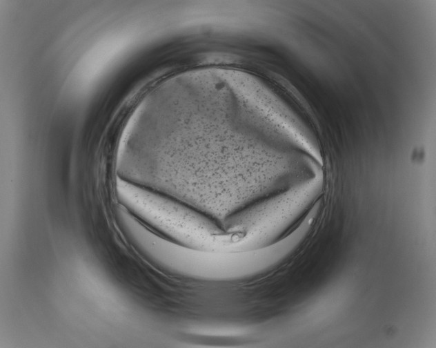 X0000114441151200911131510