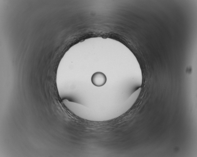 X0000114441153200911131509