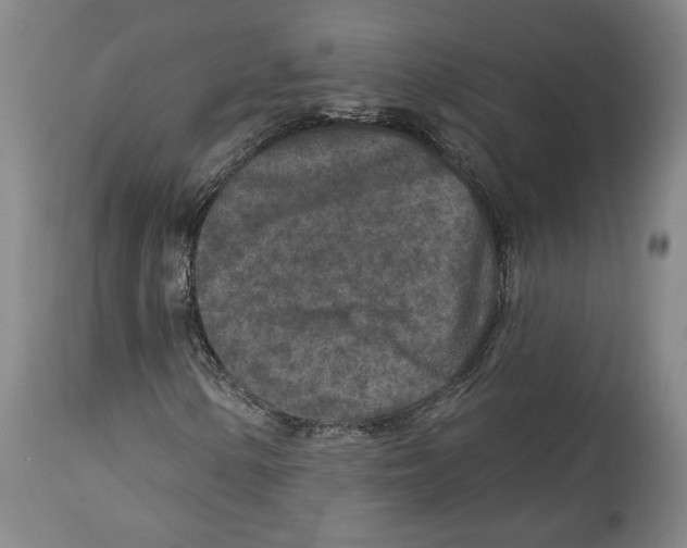 X0000114441154200911131509