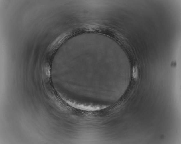 X0000114441155200911131509